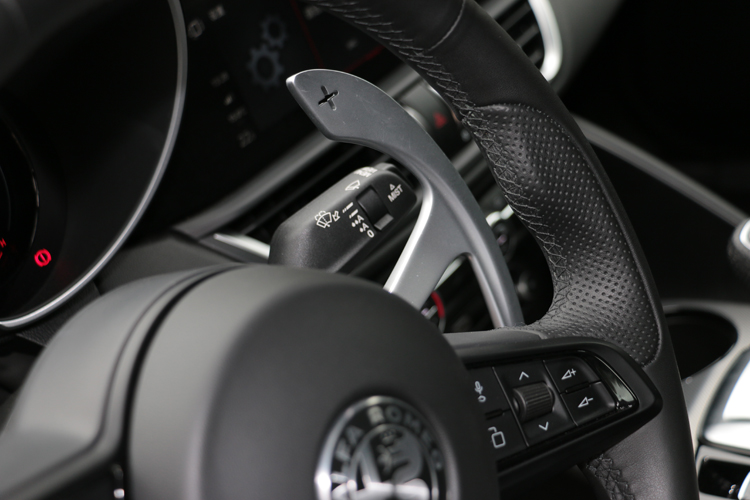 超大面積的換檔撥片，但採固定方式，進彎前要確實提前完成換檔動作。