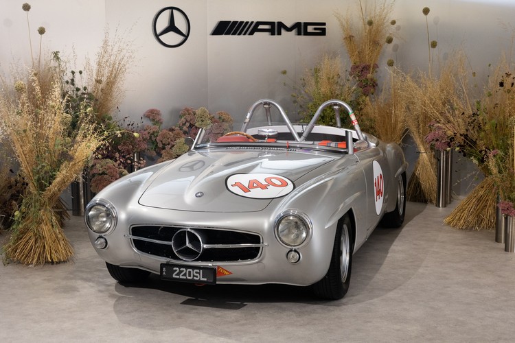 220 SL在工程團隊克服一切障礙後問世,卻因為適逢新舊平台交接,最後高層考量技術可能落伍而被捨棄。